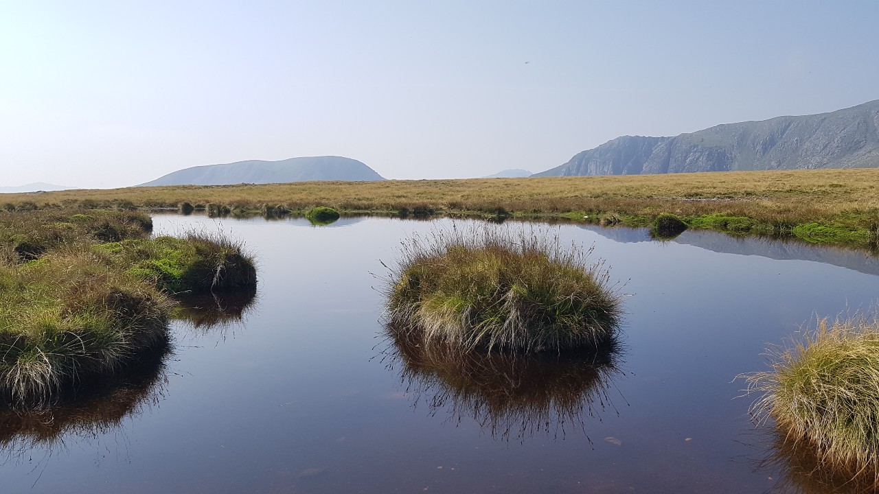 Peatland Restoration