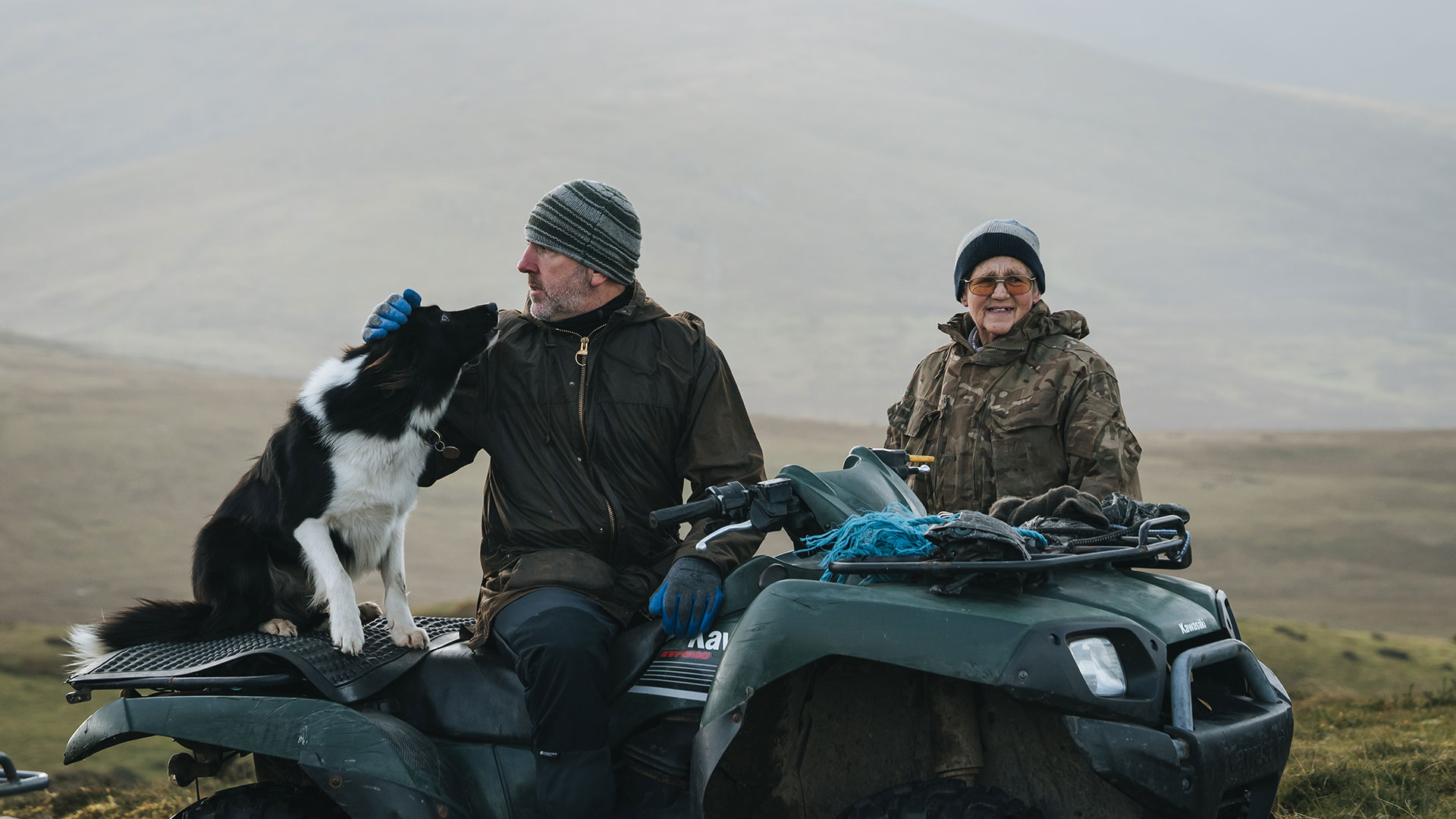 A working dog with a farmer during the Carneddau Mountain pony gathering