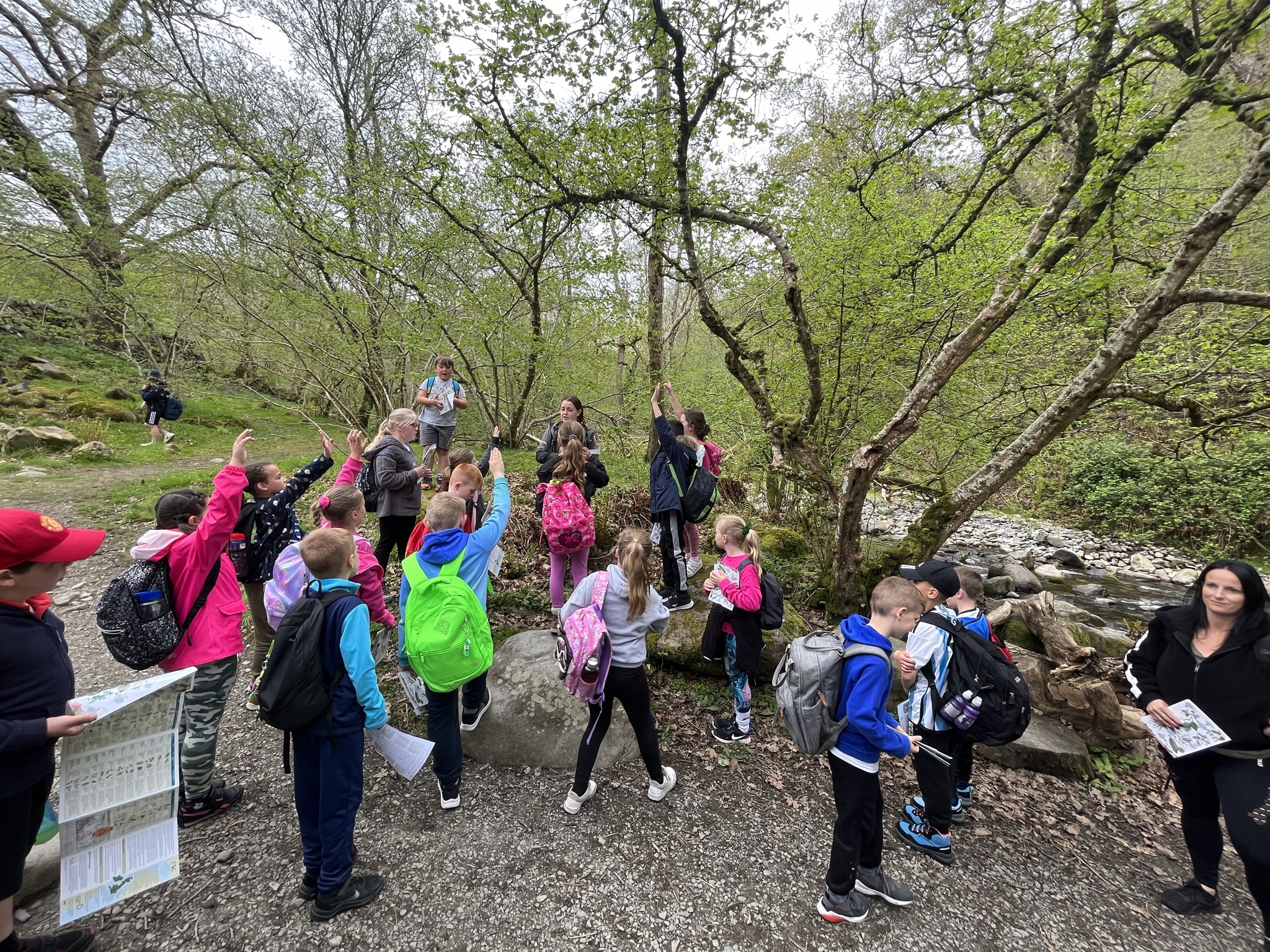 School visit in the woods